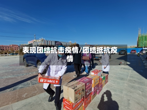 表现团结抗击疫情/团结抵抗疫情
