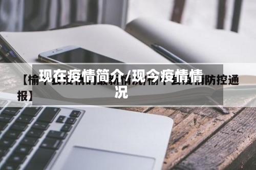 现在疫情简介/现今疫情情况