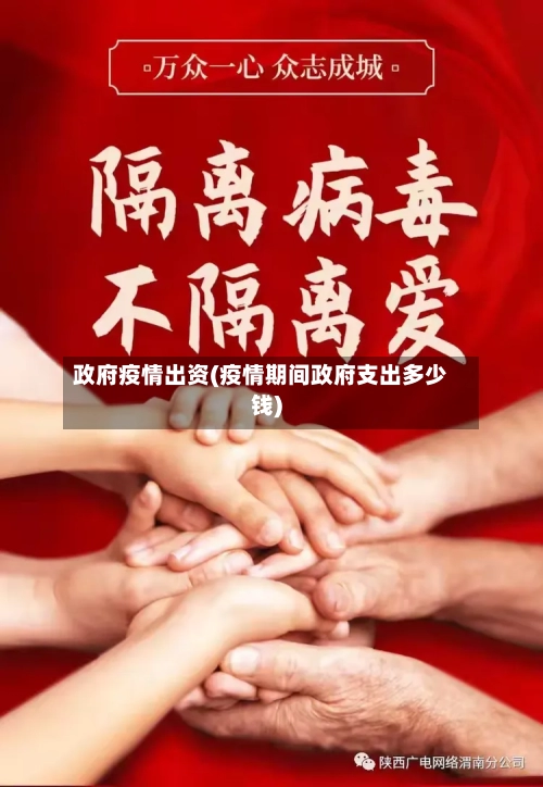政府疫情出资(疫情期间政府支出多少钱)
