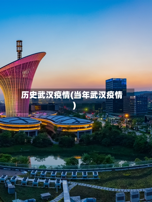 历史武汉疫情(当年武汉疫情)
