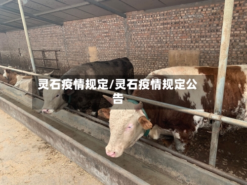 灵石疫情规定/灵石疫情规定公告